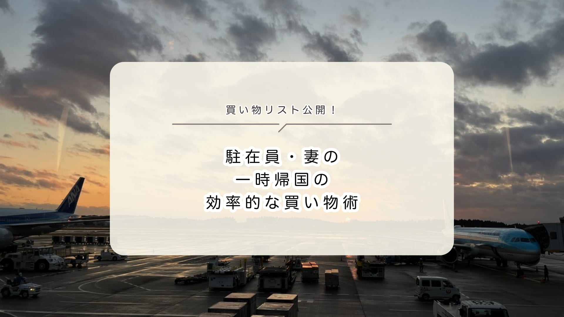 駐在員・妻の 一時帰国の 効率的な買い物術